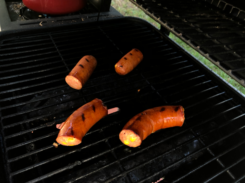 Illustration for article titled Alright You Invertibrates Learn My Tex-Mex Jambalaya and Evolve Yourselves